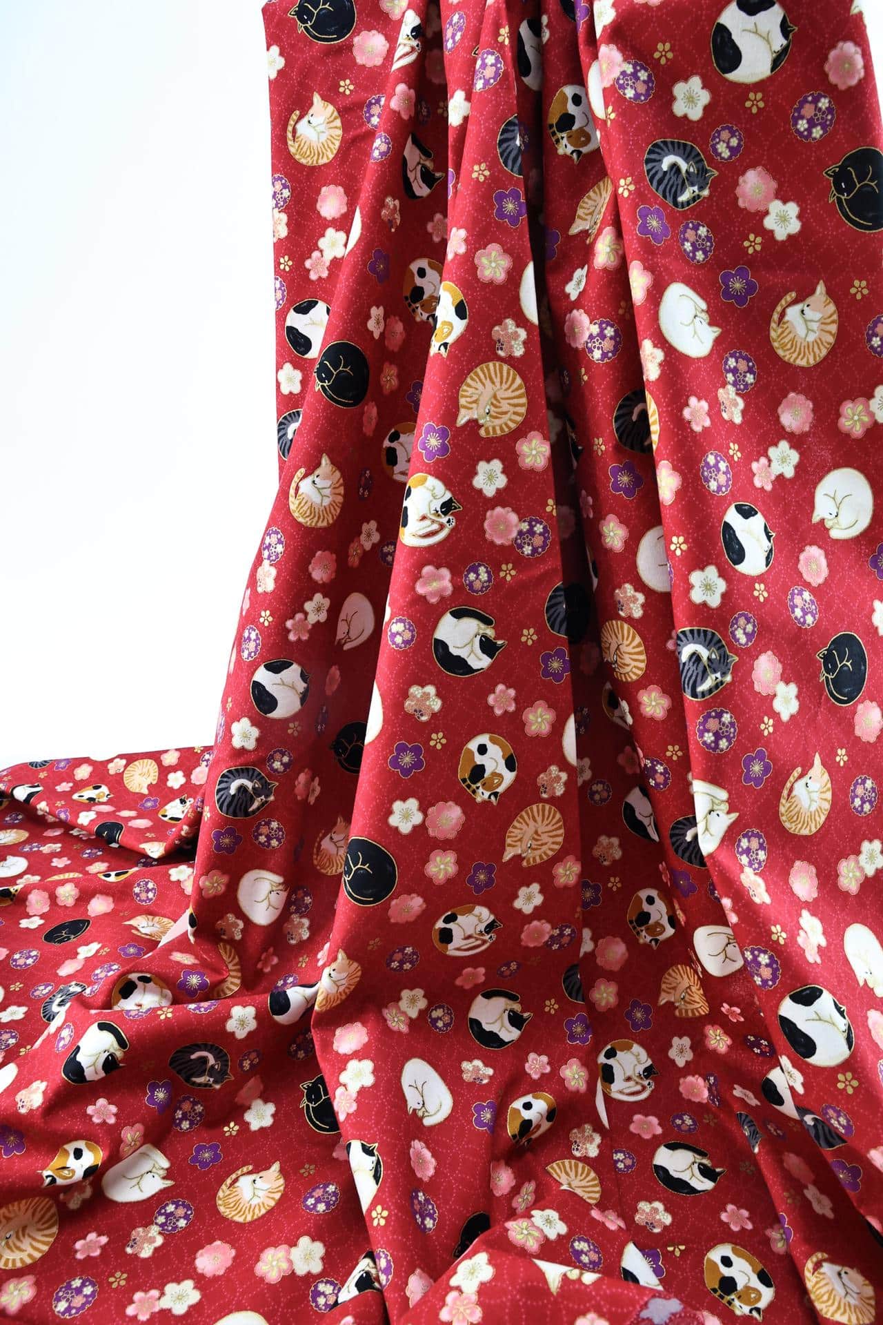 Japanese fabric sleeping cats and Ume red background